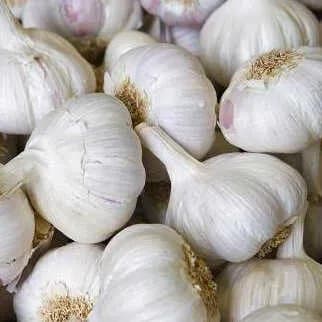 Spanish Garlic x 2 bulbs