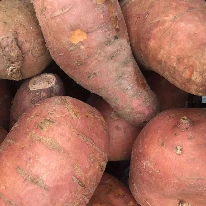 Sweet Potato Purple 500g
