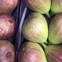 Fresh Figs x 3