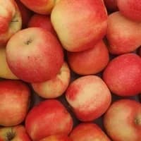 Organic Apples