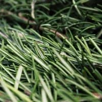 Rosemary x 1 bunch