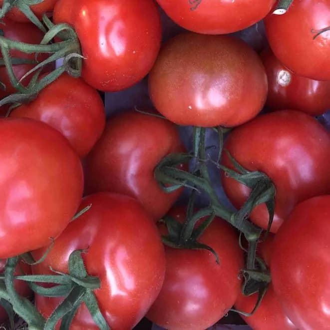 Vine Tomatoes 500g