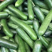 Mini Cucumber x 3 Mini Cucumber x 3