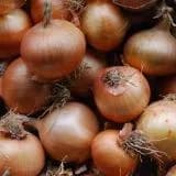 Organic Onions 1kg Organic Onions 1kg
