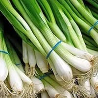 Spring Onion 1 bunch Spring Onion 1 bunch