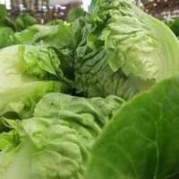 Baby Gem Salad pack of two Baby Gem Salad pack of two