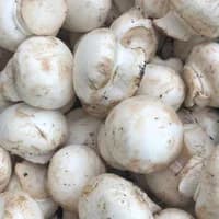 Button mushrooms 300g Button mushrooms 300g
