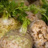 Celeriac x 1 Celeriac x 1