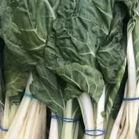 Chard x 1 bunch Chard x 1 bunch