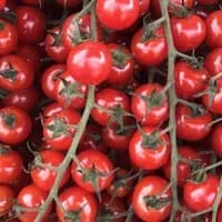 Cherry Tomatoes 125g Cherry Tomatoes 125g