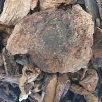 Dried Cep Mushroom 100g Dried Cep Mushroom 100g
