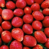 Strawberries x 1 box Strawberries x 1 box