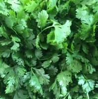 Flat Leaf Parsley x 1 bunch Flat Leaf Parsley x 1 bunch