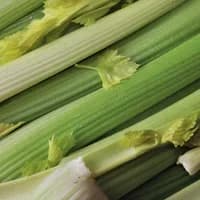 Celery x 1 bunch Celery x 1 bunch
