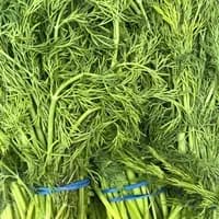 Fresh Dill 1 bunch Fresh Dill 1 bunch