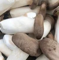 King Oyster mushroom 100g King Oyster mushroom 100g
