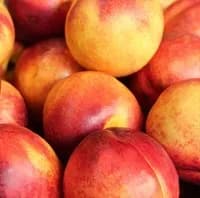 Nectarine x 1 Nectarine x 1