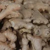 Organic Ginger 100g Organic Ginger 100g