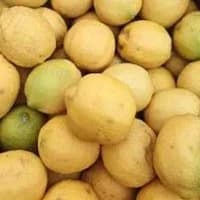 Organic Lemon unwaxed Organic Lemon unwaxed