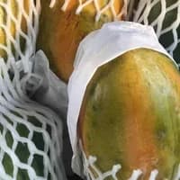 Papaya x 1 Papaya x 1