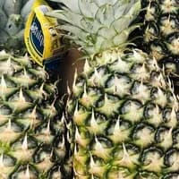 Pineapple x 1 Pineapple x 1