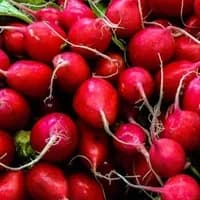 Radish 1 bunch Radish 1 bunch