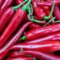 Red Chillies x 3 Red Chillies x 3