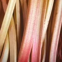 Rhubarb UK 500g Rhubarb UK 500g