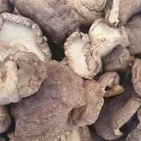 Shitake dried Mushroom 100g Shitake dried Mushroom 100g