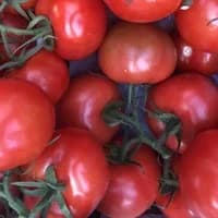 Vine Tomatoes 500g Vine Tomatoes 500g