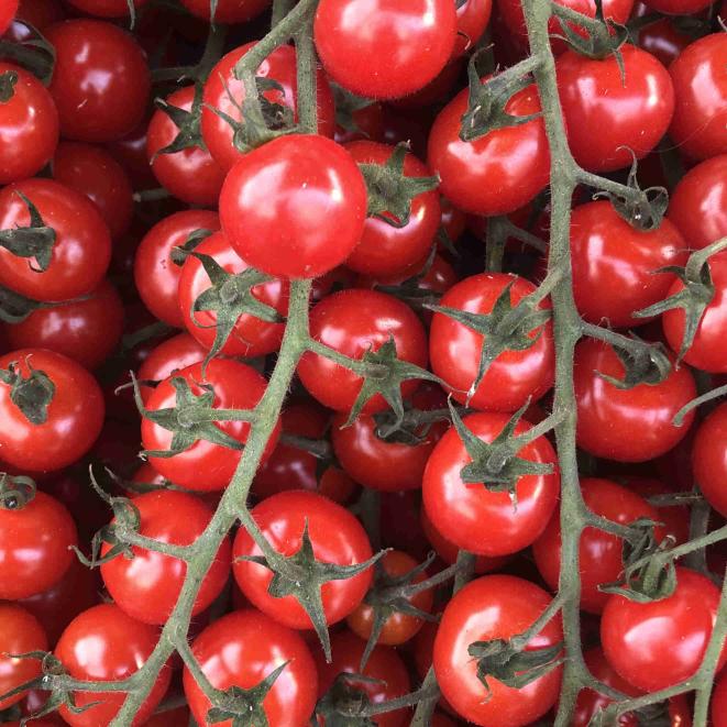 Cherry Tomatoes 125g
