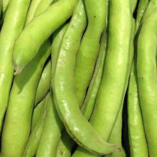 English Broad Bean 200g English Broad Bean 200g