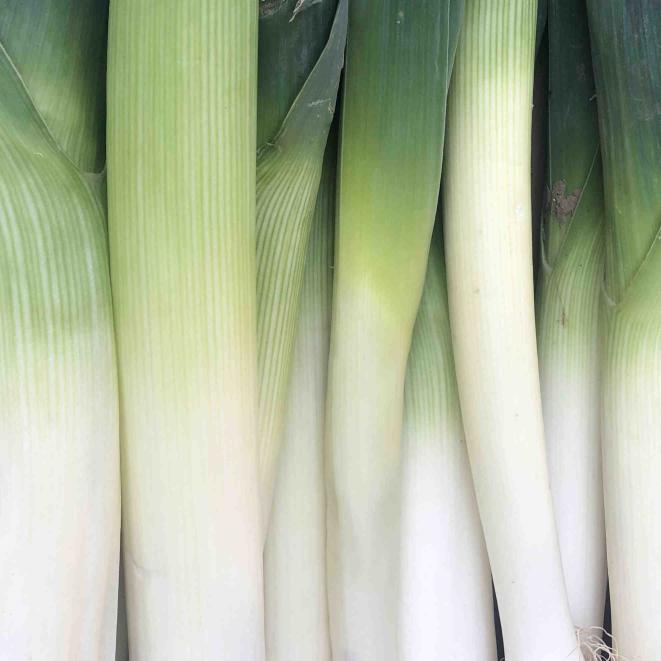 Leeks 500g Leeks 500g
