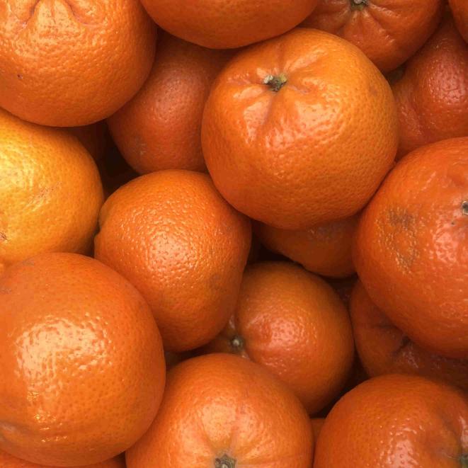 Tangerine x 3 Tangerine x 3