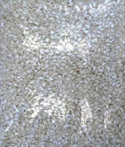 Alborio Rice 2kg