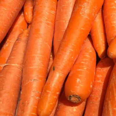 Carrots x 500g