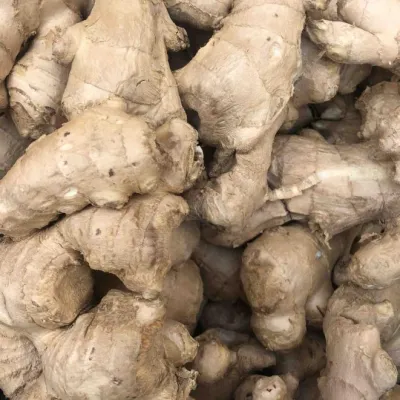 Fresh Ginger 100g