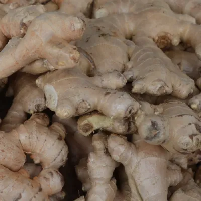 Organic Ginger 100g