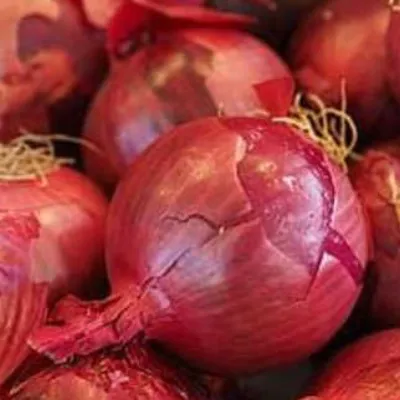 Red Onion 500g
