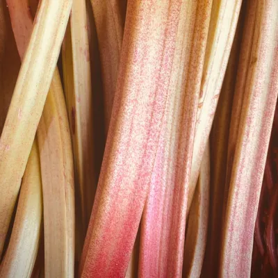 Rhubarb UK 500g