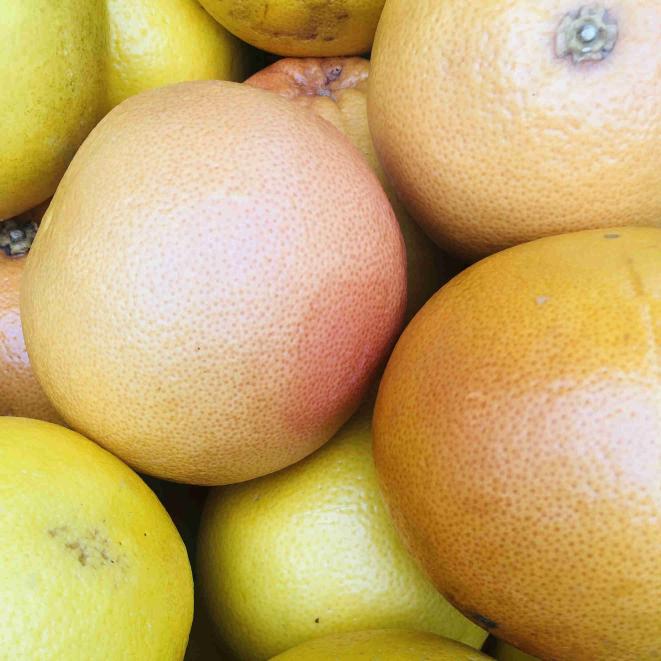 White Grape Fruit x 1 White Grape Fruit x 1